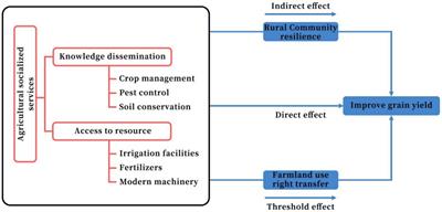 Agricultural socialized services and Chinese food security: examining the threshold effect of land tenure change